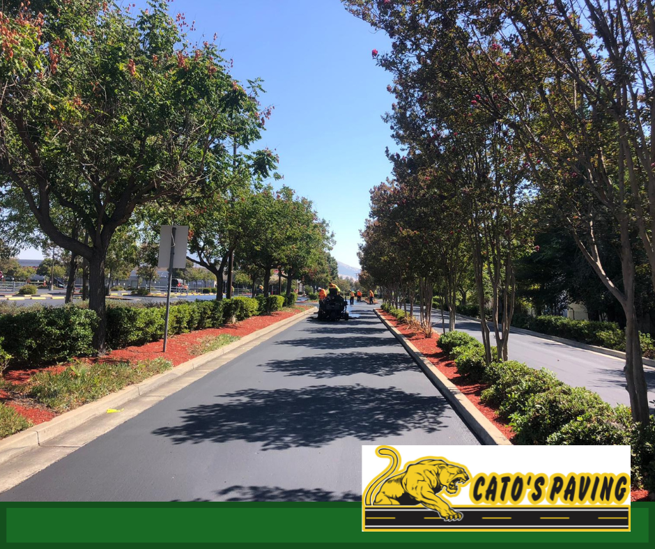 Hayward asphalt contractor