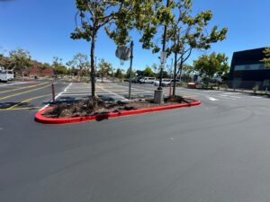 asphalt paving contractor Hayward CA